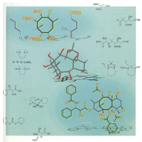 Chemistry - A European Journal Cover Quiz